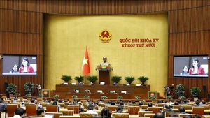 NA deputies at the NA's 10th session in Hanoi on November 28, 2025. (Photo: VNA)