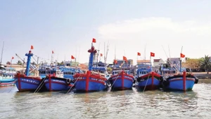 Quang Ngai Province strengthens inspection and control of fishing vessels entering and leaving ports to combat IUU fishing. (Photo: LUU HUONG)