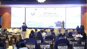 Deputy Minister of Foreign Affairs Le Thi Thu Hang speaks at the cultural event. (Photo: baoquocte.vn)