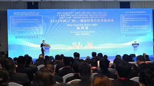An overview of the Viet Nam–China (Guangxi) Trade, Investment Promotion, and Business Connection Conference. (Photo: VNA)