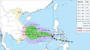 Storm No. 15 is expected to strengthen over the next 24 hours, potentially reaching level 11 with gusts up to level 14. (Photo published by VNA)