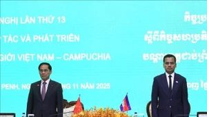 Deputy Prime Minister Bui Thanh Son (L) and Cambodian Deputy Prime Minister and Minister of Interior Sar Sokha co-chair the plenary session of the conference. (Photo: VNA)