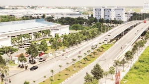 A corner of Ho Chi Minh City High-Tech Park. (Photo: Khanh Trinh)