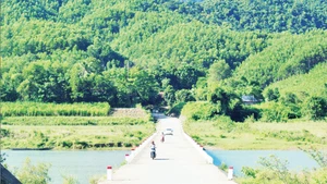 The concrete bridge across the Ba Long River makes it easier for people on both banks to travel.
