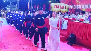 The martial artists from the Gia Lai delegation.