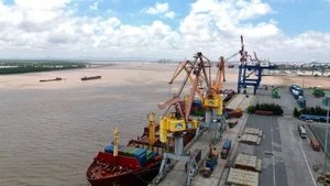 Export cargo ships at Tan Vu port, Hai Phong city (Photo: VNA)