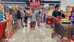 Viet Nam among France’s five most promising export markets. (Photo: Huong Giang/VNA)