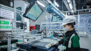 At Regza Viet Nam Electronics Co., Ltd. in Dong Nai province. (Photo: VNA)