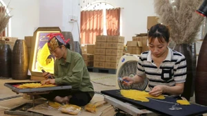 The Bodhi leaf painting product line brings high value to the people of Ninh Binh province.