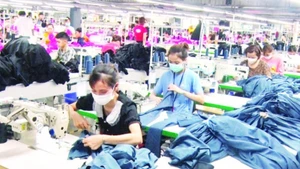 Sewing workers at Tien Son Thanh Hoa Group Joint Stock Company.