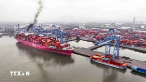 A view of Cai Mep -Thi Vai International Port (Photo: VNA)