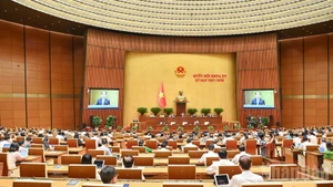 An overview of the discussion session in the hall on the draft resolution amending and supplementing a number of articles of the 2013 Constitution, June 13. (Photo: DUY LINH)