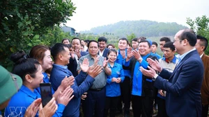 Prime Minister Pham Minh Chinh visits a macadamia cultivation model in Huoi Tao B village, Pu Nhi commune, Dien Bien province on March 8. (Photo: VNA)