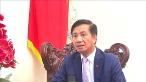 Vietnamese Ambassador to Malaysia Dinh Ngoc Linh (Photo: VNA)