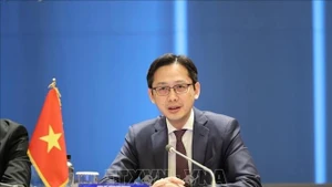 Permanent Representative of Vietnam to the UN Ambassador Do Hung Viet (Photo: VNA)