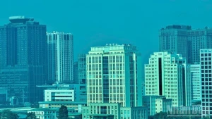 The integrated facility management services market in Viet Nam has great prospects. (Photo: HNV)