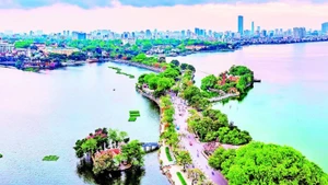 West Lake and Truc Bach Lake hold profound historical and cultural value and are an important part of the spiritual life of Ha Noi’s people. (Photo: Tue Nghi)