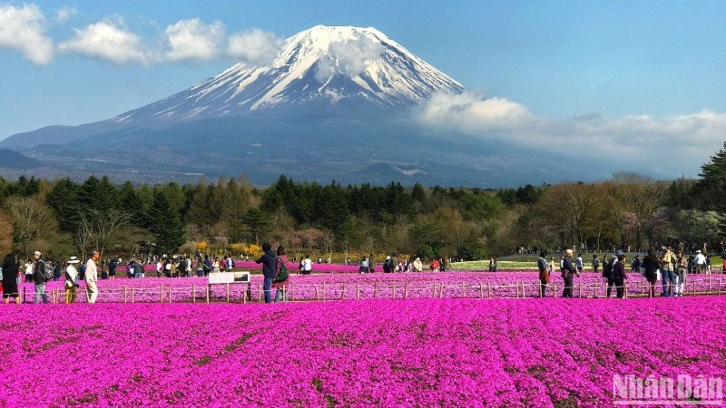 Japan remains one of the most popular destinations for Vietnamese tourists. (Photo: nhandan.vn)
