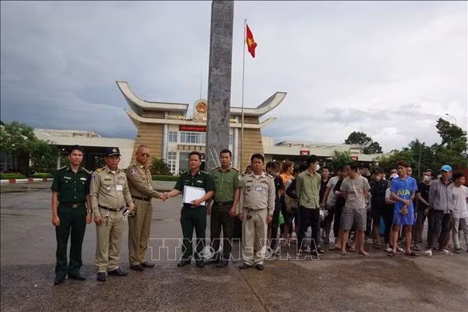 Vietnamese authorities carry out procedures to receive the rescued citizens who were previously forced to work in Cambodia. (Photo:VNA)