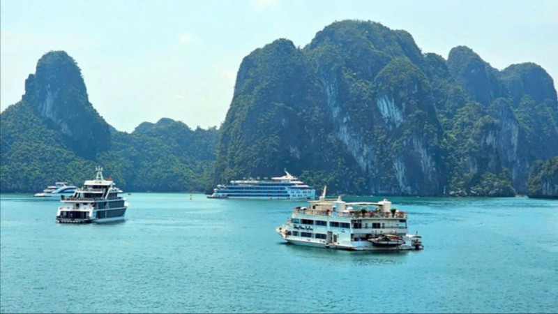 Tourist boats take visitors to explore Ha Long Bay.