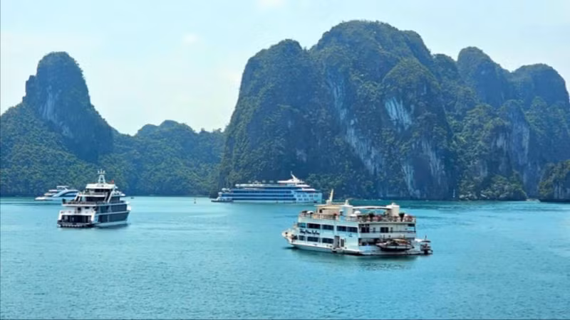 Tourist boats take visitors to explore Ha Long Bay.