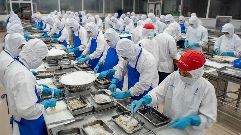 Processing seafood for export at the Coastal Economic Development Company (Cofidec) in the former Ho Chi Minh City area.
