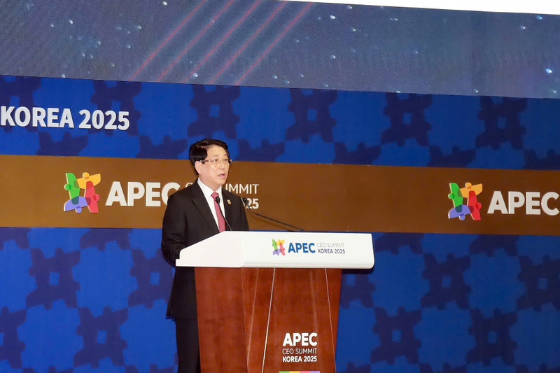 The President delivers remarks at the APEC Summit. (Photo: XUAN KY)