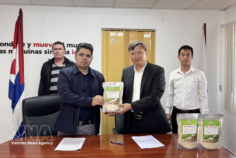Vietnamese Ambassador to Cuba Le Quang Long (right) symbolically hands over 250 tonnes of rice to Cuban Deputy Minister of Agriculture Telce Abdel González (Photo: VNA)