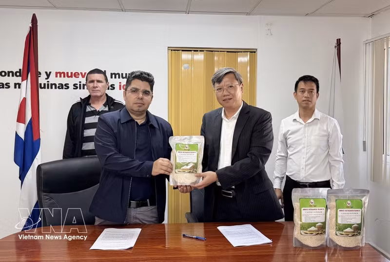 Vietnamese Ambassador to Cuba Le Quang Long (right) symbolically hands over 250 tonnes of rice to Cuban Deputy Minister of Agriculture Telce Abdel González (Photo: VNA)