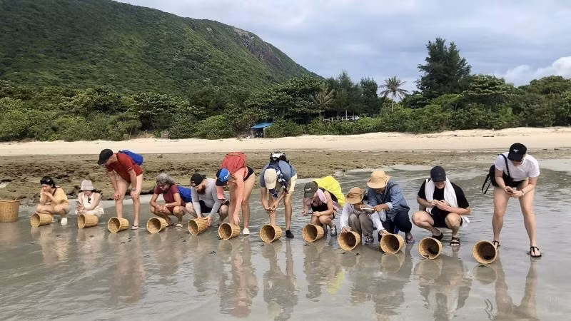 Visitors experience releasing sea turtles back into the ocean at Con Dao National Park.