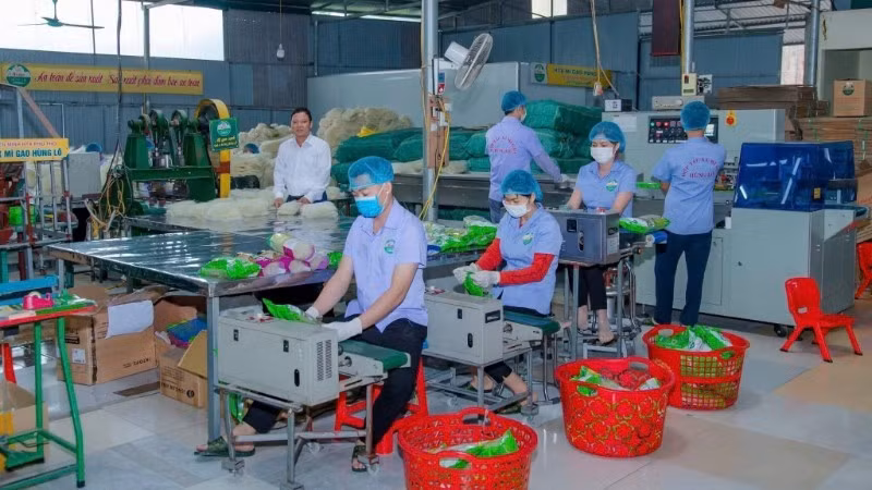 The noodle packaging workshop of Hung Lo Rice Noodle Cooperative in Van Phu Ward, Phu Tho Province. (Photo: nhandan.vn)