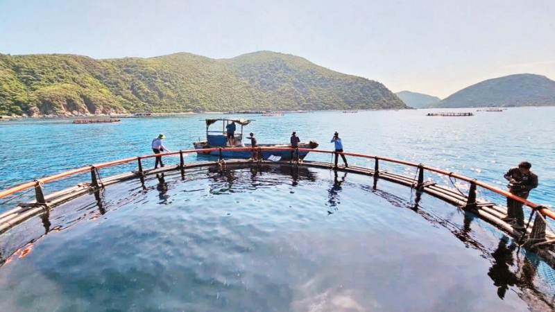 A high-tech marine aquaculture model in Khanh Hoa Province. (Photo: KIM SO)