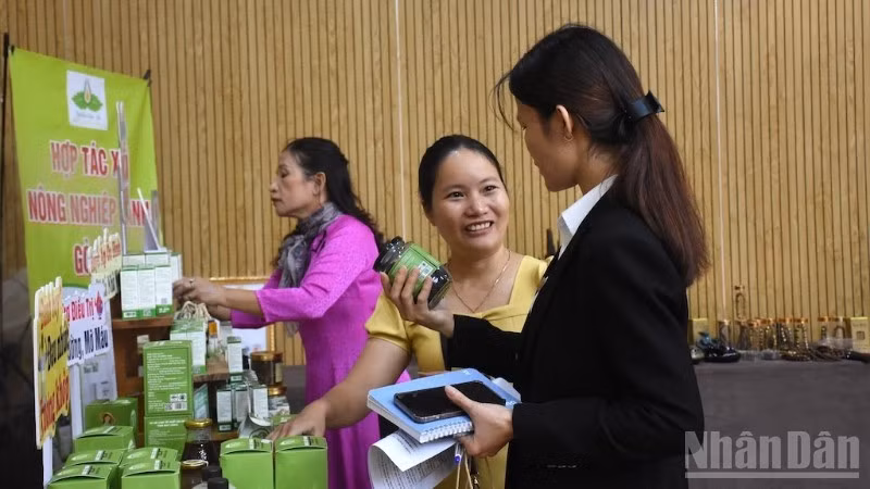 An exhibition area showcasing Da Nang’s clean agricultural products that meet OCOP 4- and 5-star standards. (Photo: ANH DAO)