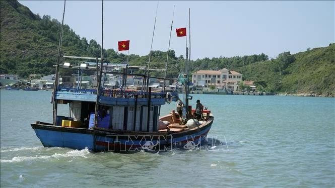 Illustrative photo (Photo: VNA)