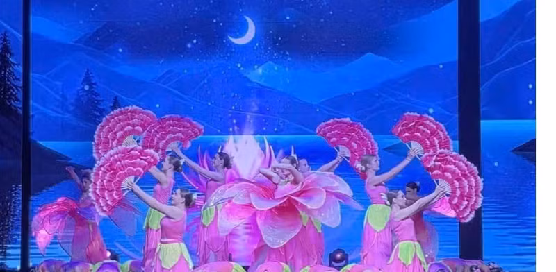 A Vietnamese performance at the festival. (Photo: VNA)