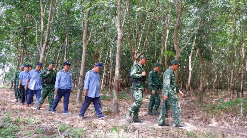Border guards and security forces of Tan Bien Rubber Company patrol the border. (Photo: DAO PHONG)