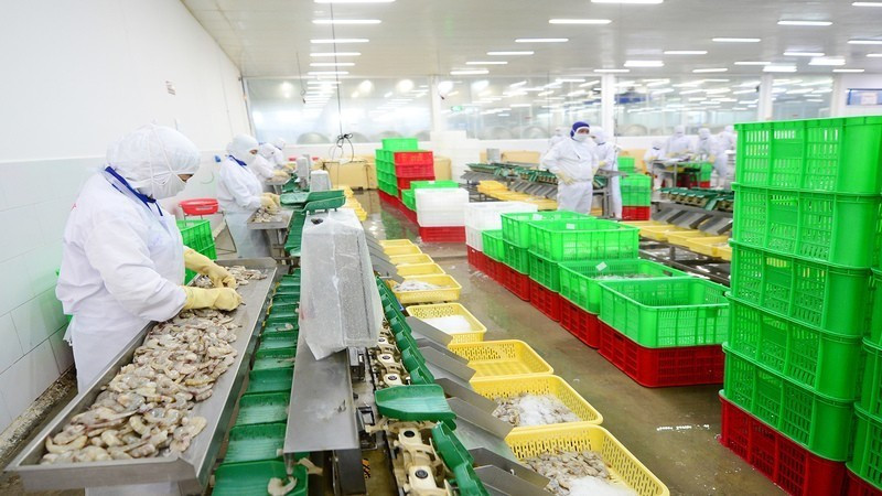 Seafood exports to the EU enjoy significant growth thanks to the EVFTA.