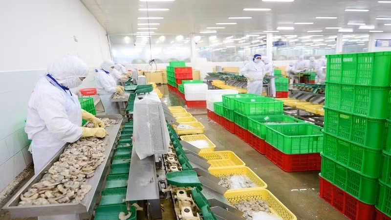 Seafood exports to the EU enjoy significant growth thanks to the EVFTA.