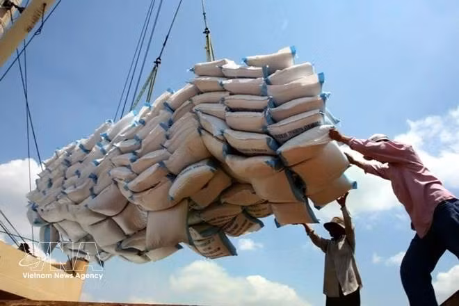 Workers load rice bags onto a vessel for delivery. (Photo: VNA)