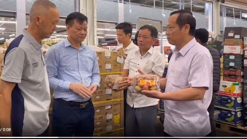 Inspecting the quality of lychees upon arrival in France. (Photo: nhandan.vn)