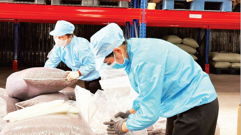 Packaging speciality coffee husk (cascara tea) for export at Simexco DakLak. (Photo: MINH ANH)