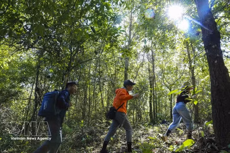 Travellers explore Pu To Co with backpacks and trekking poles, embracing the spirit of adventure. (Photo: VNA)