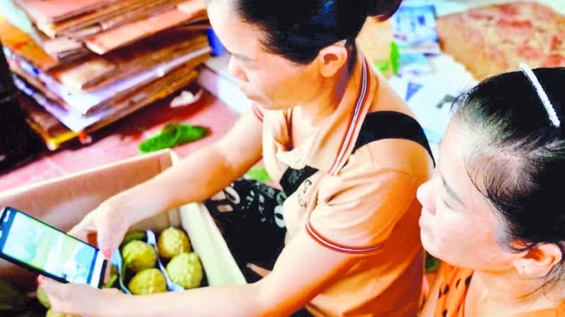 Lang Son farmers sell custard apples via e-commerce platforms.