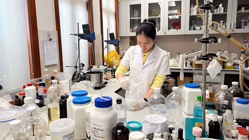 Research activities at Sao Thai Duong Company. (Photo: DUC TUNG)