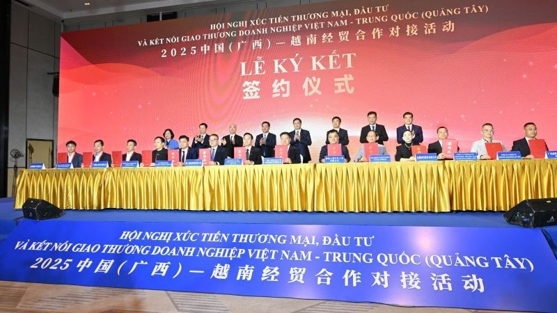 Overview of the conference