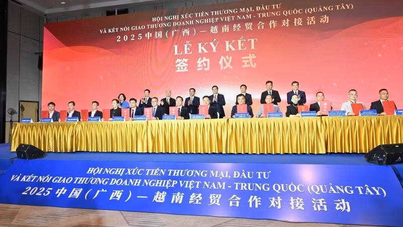 Overview of the conference