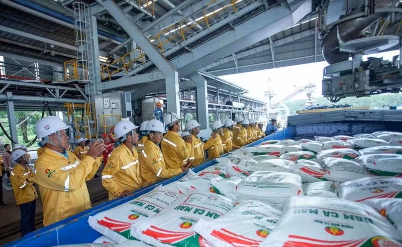 Workers load fertiliser onto a vessel for export by Petrovietnam Ca Mau Fertiliser Corporation (PVCFC). (Photo: Petrovietnam)