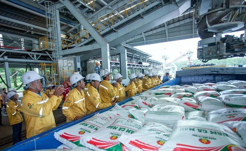 Workers load fertiliser onto a vessel for export by Petrovietnam Ca Mau Fertiliser Corporation (PVCFC). (Photo: Petrovietnam)