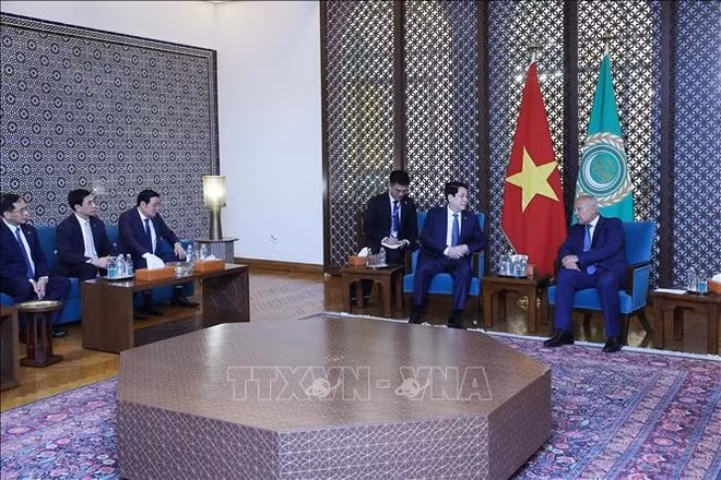 The meeting between Vietnamese President Luong Cuong and Secretary-General of the Arab League Ahmed Aboul Gheit in Cairo on August 4. (Photo: VNA)