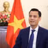 Deputy Minister of Foreign Affairs Dang Hoang Giang (Photo published by VNA)